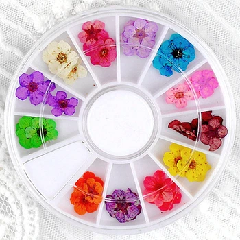 24 ADET 12 renkler kurutulmuş çiçek çiçek nail art süslemeleri için doğal tırnak kuru çiçekler tekerlek tırnak malzemeleri aracı