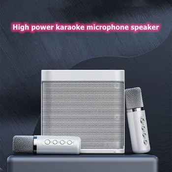 Yüksek güç Taşınabilir Profesyonel Karaoke Çift Mikrofon Bluetooth uyumlu Hoparlör Açık Aile Partisi Karaoke Kutusu